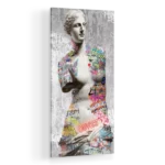 venus-de-milo-STRAIGHT-CANVAS-1X2