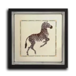 Gold-Zebra-STRAIGHT-CANVAS-1X1